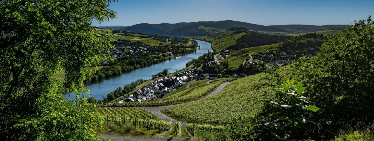 Wein- Und Gaestehaus Genetsch Lieser Exterior photo