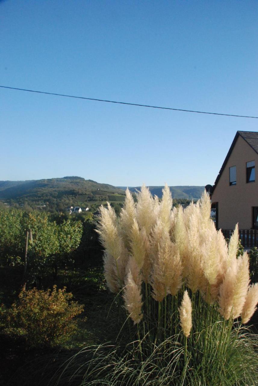 Wein- Und Gaestehaus Genetsch Lieser Exterior photo