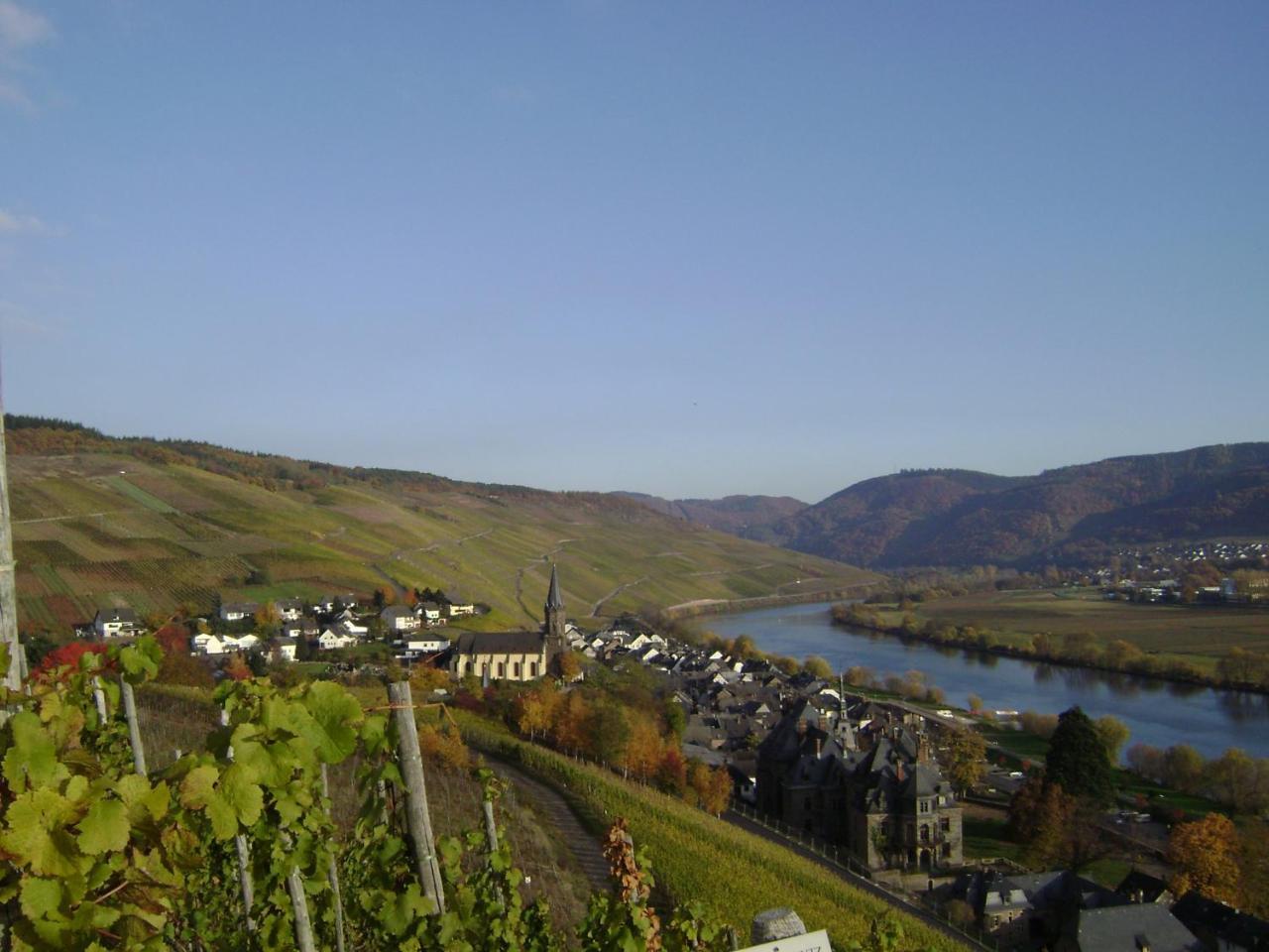 Wein- Und Gaestehaus Genetsch Lieser Exterior photo